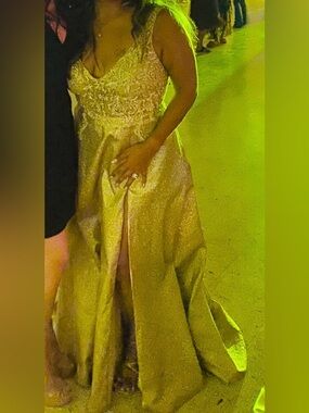 Gold Embellished V-Neck Evening Gown